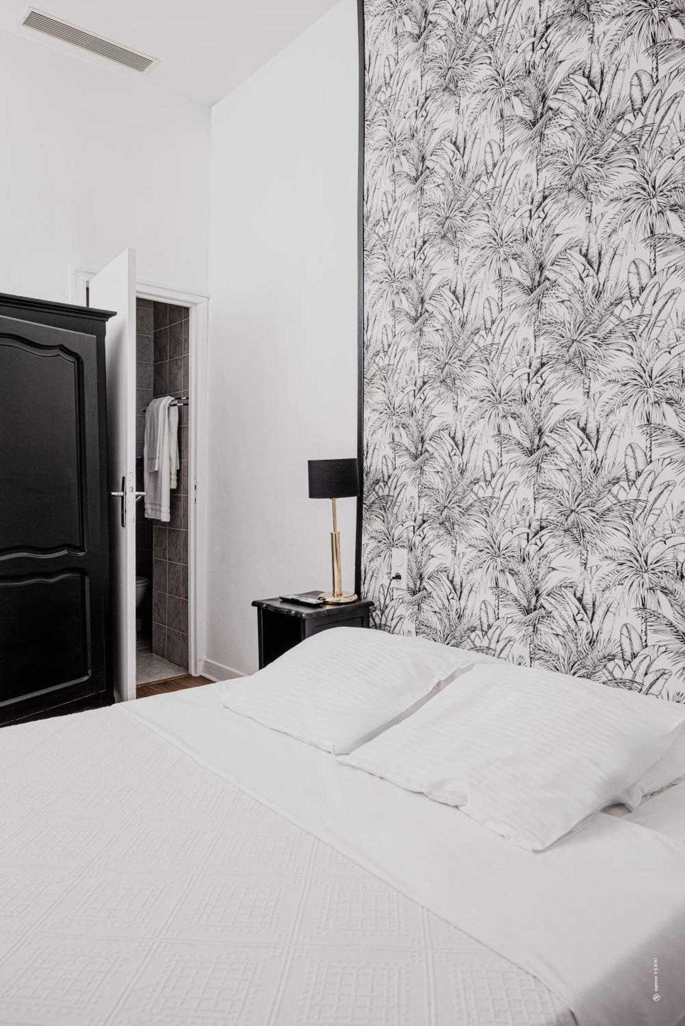 Hotel Moderne Et Pigeon Limoux Esterno foto